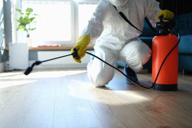 Reliable Infectious Disease Decontamination contractor in Redlands, CA by Trauma Clean Pros